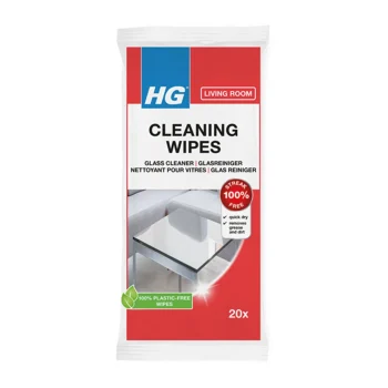 Online HG Glasreiniger Doekjes
