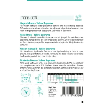 Discount Horti Tops Hoge Afrikaan Yellow Supreme