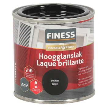 Online Finess Hoogglans Zwart 1428 250ml