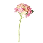 Sale O'malley Hortensia 31 Cm Roze