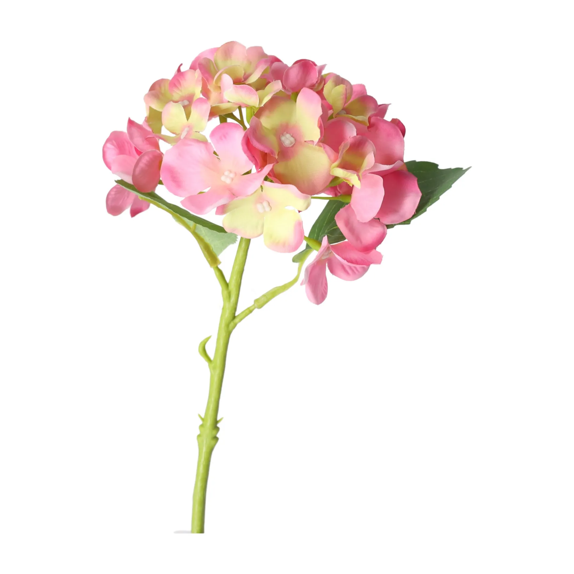 hortensia-31-cm-roze-SBJhCNlv-1.webp Sale O'malley Hortensia 31 Cm Roze