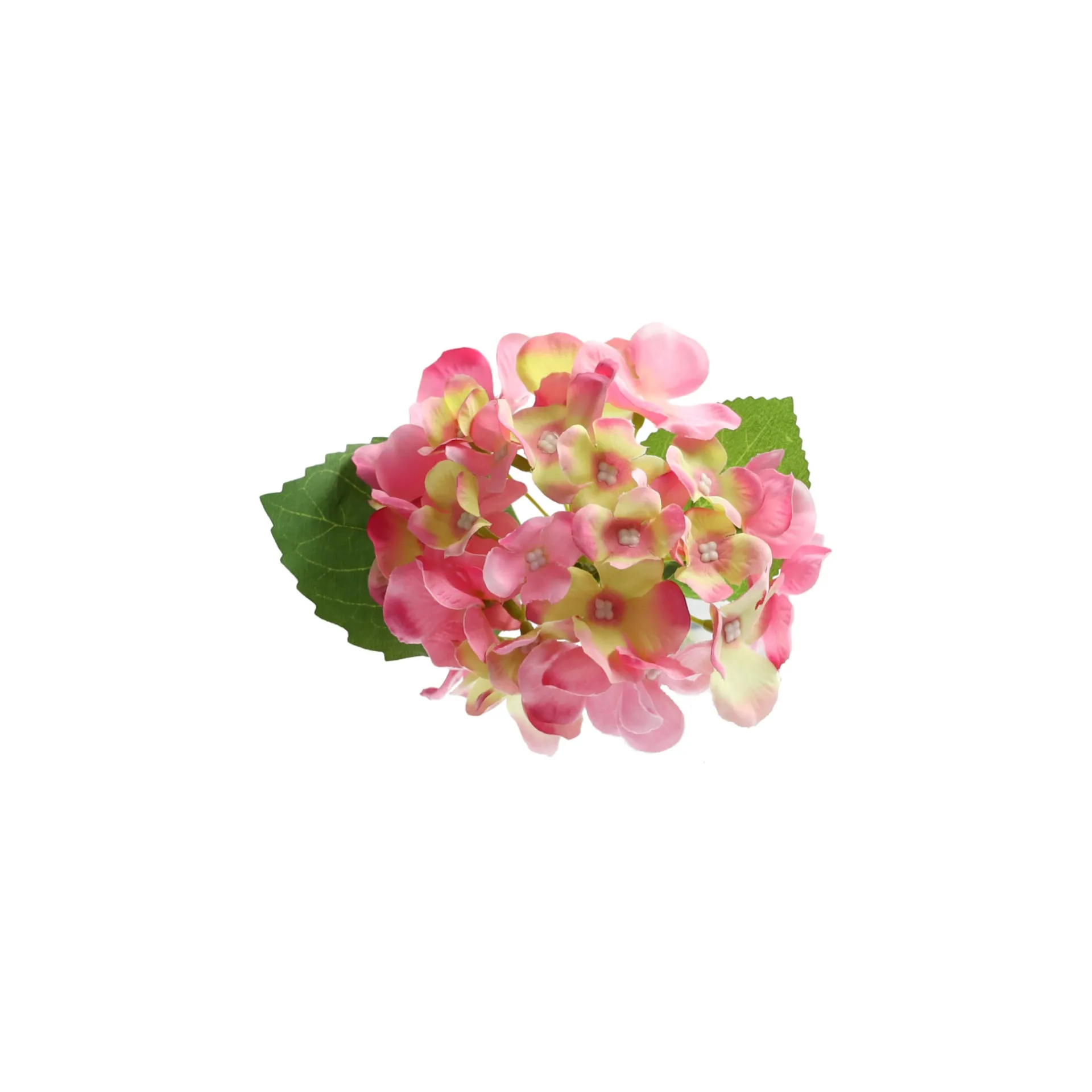 hortensia-31-cm-roze-SBJhCNlv-2.webp Sale O'malley Hortensia 31 Cm Roze