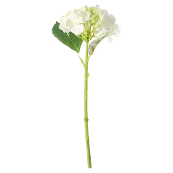Discount O'malley Hortensia 31 Cm Wit