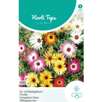 Hot Horti Tops IJs- Of Middagbloem Mix