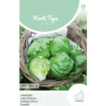 Sale Horti Tops IJsbergsla Great Lakes