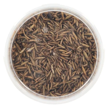 Outlet Smulti Insectenmix 3L