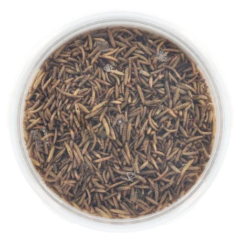 Fashion Smulti Insectenmix 5L