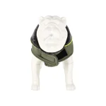 jas-hond-buddy-grijs-25cm-FIFXzAju-0.webp