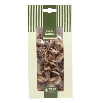 Outlet Natural Collections Katoenpeul Naturel 40g