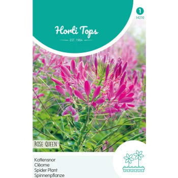 Sale Horti Tops Kattensnor Rose Queen