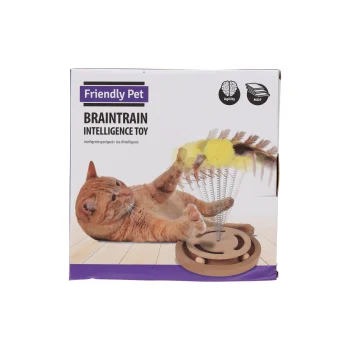 Online Friendly Pet Kattenspeeltje Denkspel Met Veer