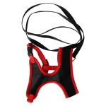 New Friendly Pet Kattentuig Zwart/rood 15mmx120cm