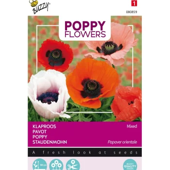 Fashion Buzzy Klaproos