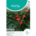 Clearance Horti Tops Klimmende Winde Cardinal Climber