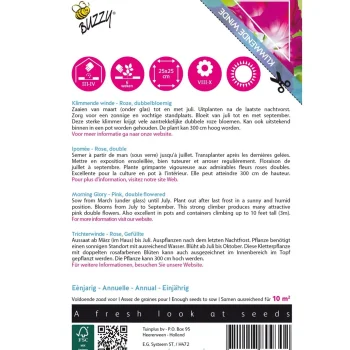 Clearance Buzzy Klimmende Winde Dubbel Rose