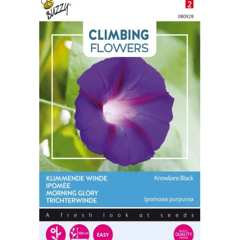 Best Buzzy Klimmende Winde Knowlians Black