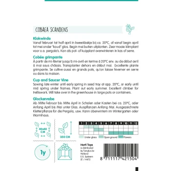 Clearance Horti Tops Klokwinde