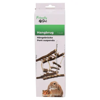 Hot Friendly Pet Knaagdier Hang Speeltoestel 27cm