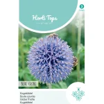 Fashion Horti Tops Kogeldistel Blue Globe