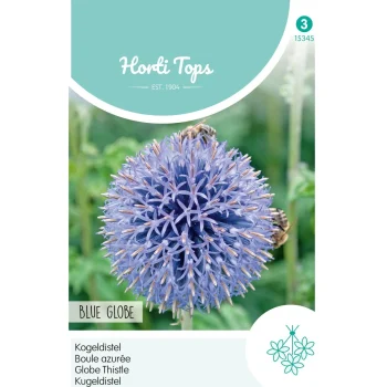 Fashion Horti Tops Kogeldistel Blue Globe