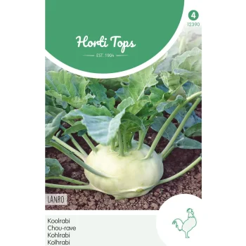 Best Horti Tops Koolrabi Lanro Zaad