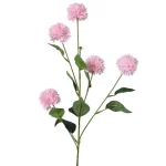 korenbloem-82-cm-roze-vGoFHaQV-0.webp