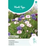 Best Horti Tops Korenbloem Polka Dot Mix