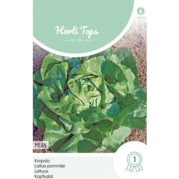 Hot Horti Tops Kropsla Milan