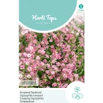 Online Horti Tops Kruipend Gipskruid Roze