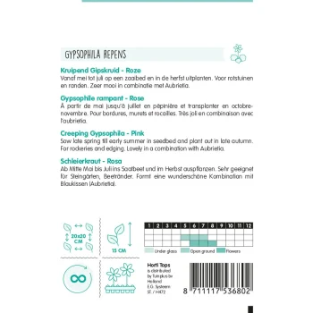 Online Horti Tops Kruipend Gipskruid Roze