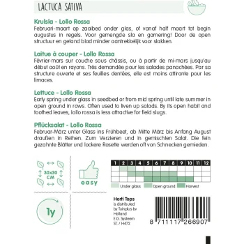 Discount Horti Tops Krulsla Lollo Rossa