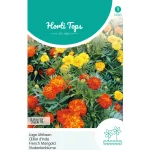 Clearance Horti Tops Lage Afrikaan Bonita Mix