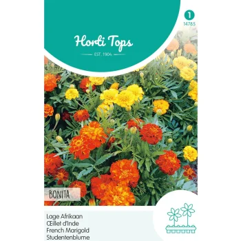 Clearance Horti Tops Lage Afrikaan Bonita Mix