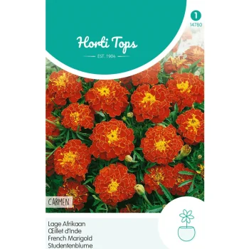 Sale Horti Tops Lage Afrikaan Carmen