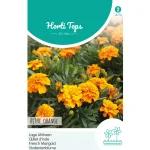 Outlet Horti Tops Lage Afrikaan Petite Orange