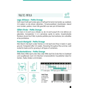 Outlet Horti Tops Lage Afrikaan Petite Orange