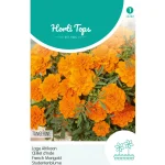 Sale Horti Tops Lage Afrikaan Tangerine