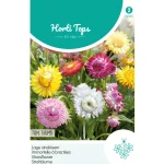 Best Horti Tops Lage Strobloem Tom Thumb