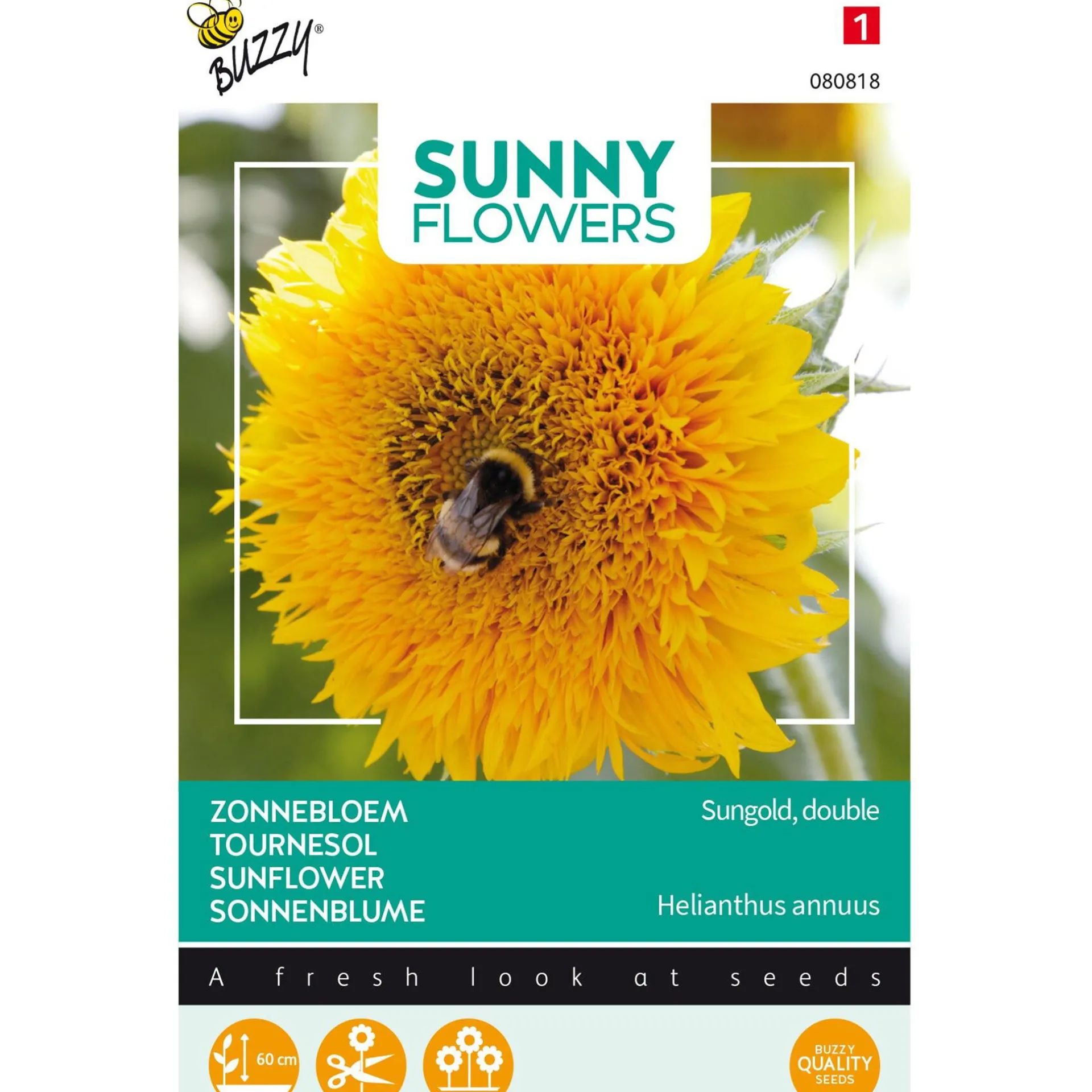 lage-zonnebloem-sungold-dubbel-pEWWKBdU-0.webp Fashion Buzzy Lage Zonnebloem Sungold Dubbelbloemig