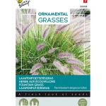 Hot Buzzy Lampenpoetsersgras