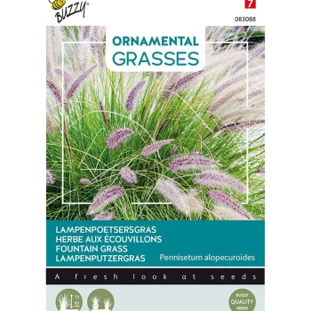 Hot Buzzy Lampenpoetsersgras