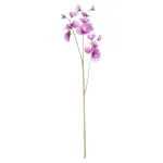 Sale Decoris Lathyrus Op Steel Paars 60 Cm