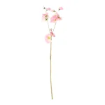 New Decoris Lathyrus Op Steel Roze 60 Cm