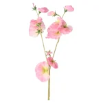 lathyrus-op-steel-roze-60-cm-urwEVCXN-0.webp