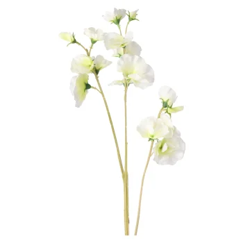 Hot Decoris Lathyrus Op Steel Wit 60 Cm