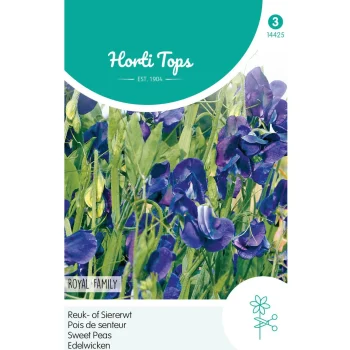 Hot Horti Tops Lathyrus Royal Blue