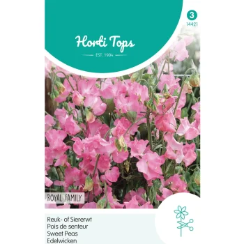 Clearance Horti Tops Lathyrus Royal Roze
