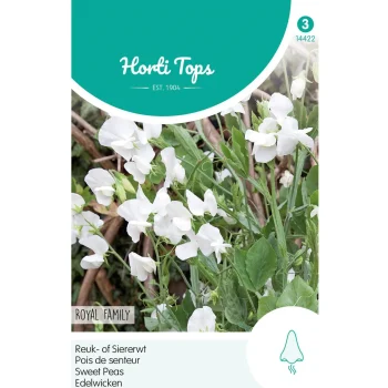 Outlet Horti Tops Lathyrus Royal White
