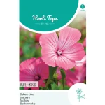 Sale Horti Tops Lavatera Rozerood