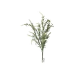 lavendel-52-cm-wit-cpJtEAZY-0.webp